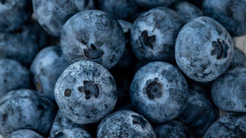 Znaczenie zdrowego odżywiania w rozwoju dziecka