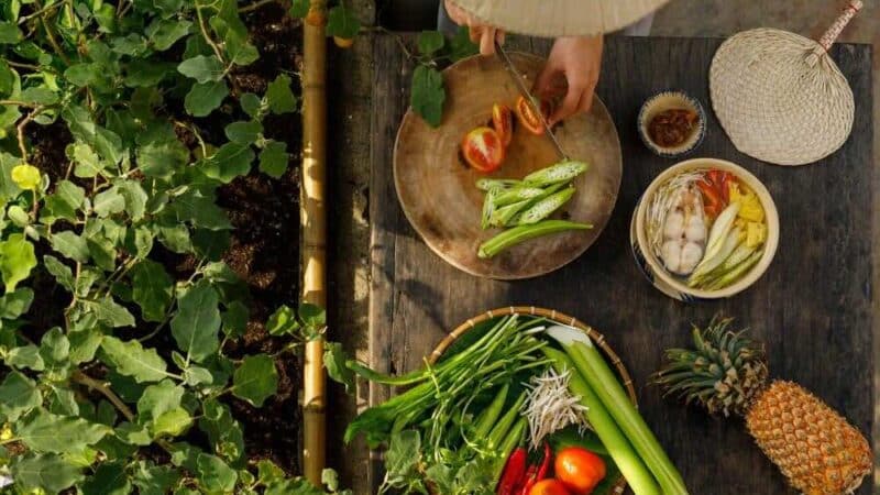 Jak wprowadzić zdrowe nawyki żywieniowe u dzieci?